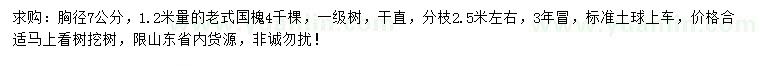 求購1.2米處量胸徑7公分老式國槐