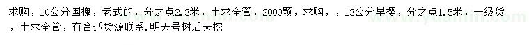 求購10公分國槐、13公分早櫻