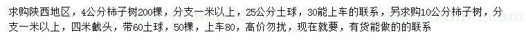 求購4、10公分柿子樹