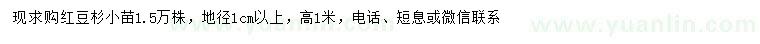 求購(gòu)地徑1公分以上紅豆杉小苗
