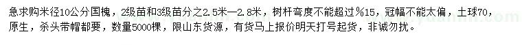 求購米徑10公分國槐