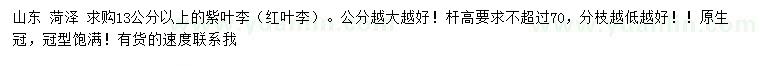 求購13公分以上紫葉李（紅葉李）