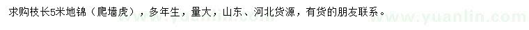 求購枝長5米地錦