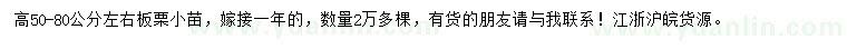 求購(gòu)高50-80公分左右板栗小苗