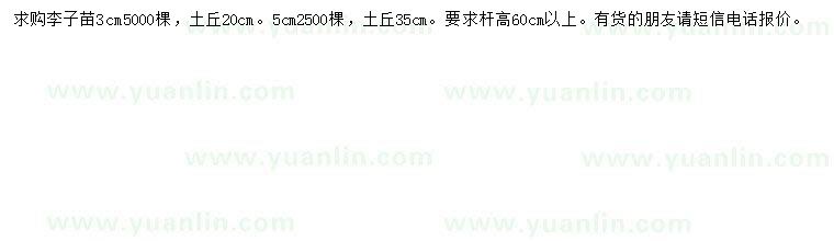 求購(gòu)3、5公分李子苗