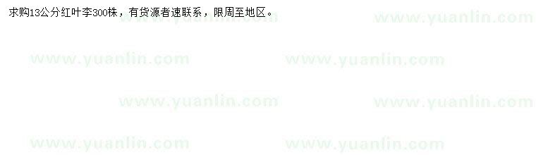 求購13公分紅葉李