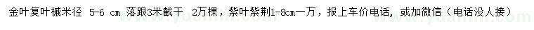 求購(gòu)米徑5-6公分金葉復(fù)葉槭、1-8公分紫荊