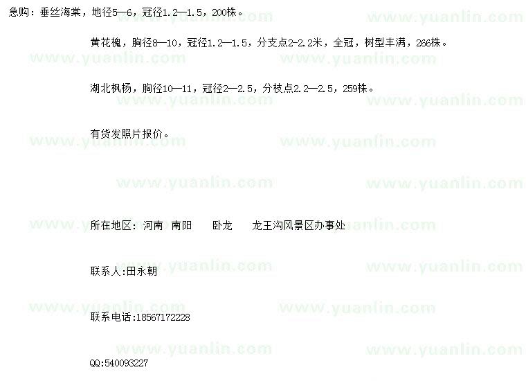 求購(gòu)垂絲海棠、黃花槐、楓楊
