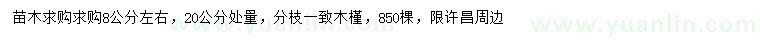 求購20公分處量8公分左右木槿