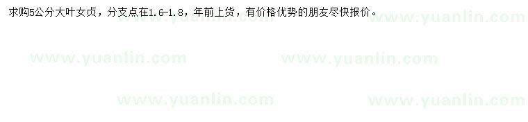 求購5公分大葉女貞