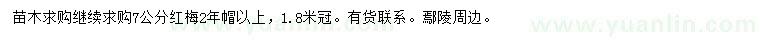 求購7公分紅梅