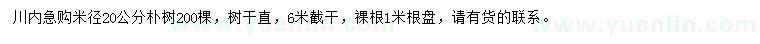 求購米徑20公分樸樹