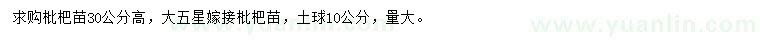 求購高30公分枇杷苗