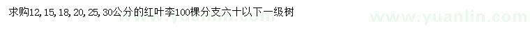 求購12、15、18、20、25、30公分的紅葉李