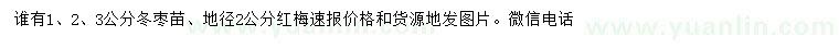 求購1、2、3公分冬棗苗、地徑2公分紅梅