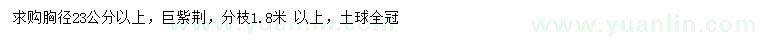 求購胸徑23公分以上巨紫荊