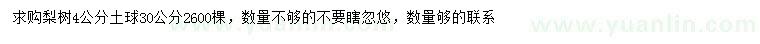 求購4公分梨樹