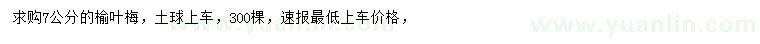 求購(gòu)7公分榆葉梅
