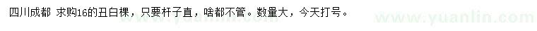 求購16公分丑白棵