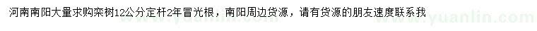 求購12公分欒樹