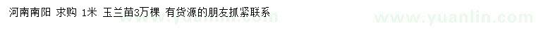 求購1米玉蘭苗