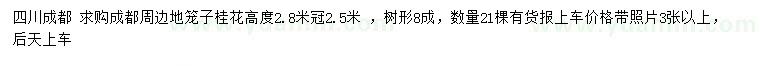 求購高2.8米桂花