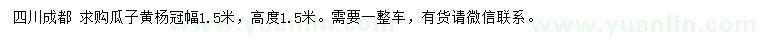 求購冠幅1.5米瓜子黃楊