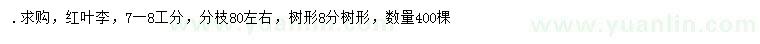 求購7-8公分紅葉李