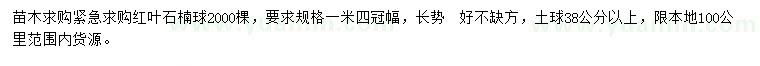 求購冠幅1.4米紅葉石楠球