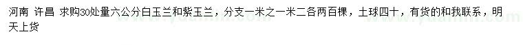 求購30處量6公分白玉蘭、紫玉蘭