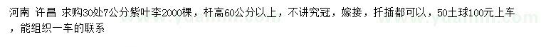 求購30處量7公分紫葉李
