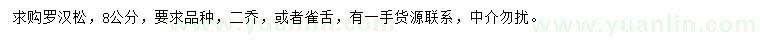 求購8公分羅漢松