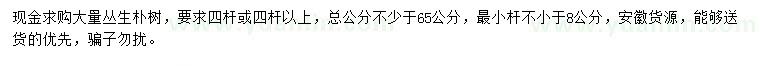 求購四桿或四桿以上叢生樸樹