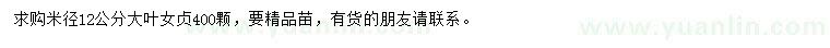 求購米徑12公分大葉女貞