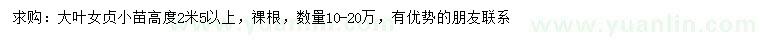 求購(gòu)高2.5米以上大葉女貞小苗