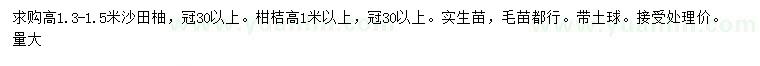 求購冠幅30公分以上沙田柚、柑桔