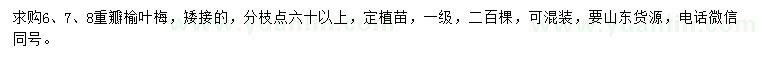 求購6、7、8公分重瓣榆葉梅
