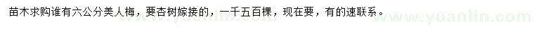 求購6公分美人梅