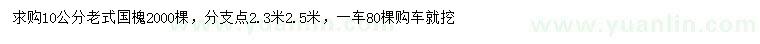 求購10公分老式國槐