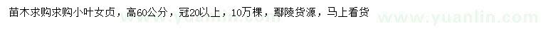 求購(gòu)高60公分小葉女貞