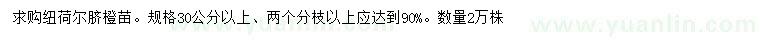 求購(gòu)格30公分以上紐荷爾臍橙苗