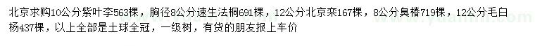 求購紫葉李、速生法桐、毛白楊等