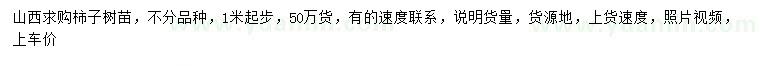 求購(gòu)1米起步柿子樹(shù)苗