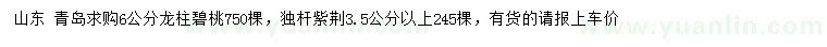 求購6公分龍柱碧桃、獨(dú)桿紫荊