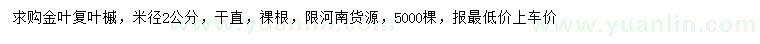 求購米徑2公分金葉復(fù)葉槭