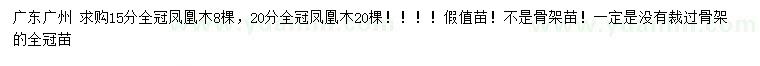 求購15、20公分鳳凰木