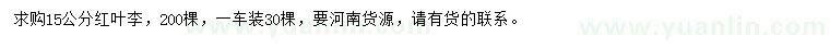 求購15公分紅葉李