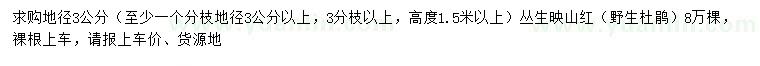 求購3分枝以上叢生映山紅