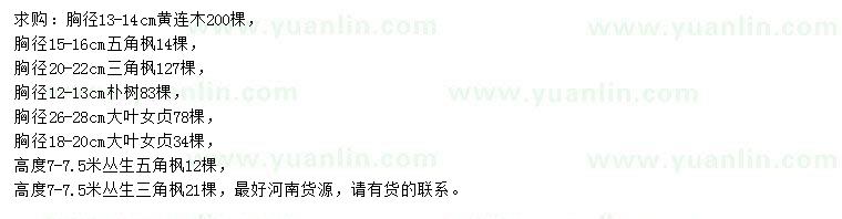 求購黃連木、五角楓、三角楓等