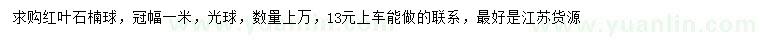 求購冠幅1米紅葉石楠球